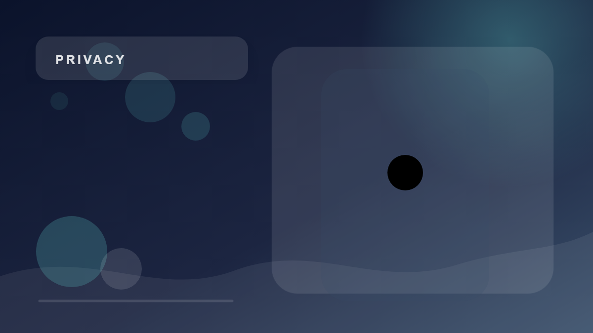 Camera, location and privacy: what users can control