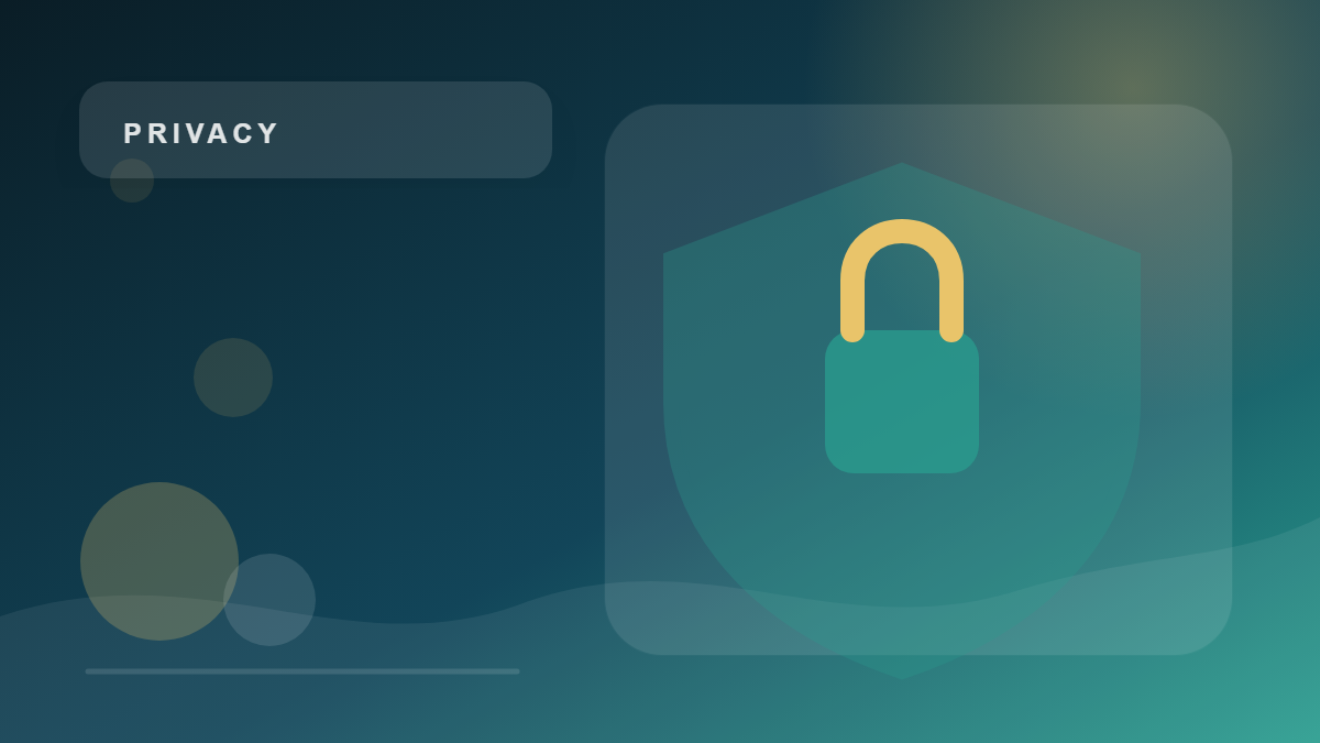 Account security basics for app and web users