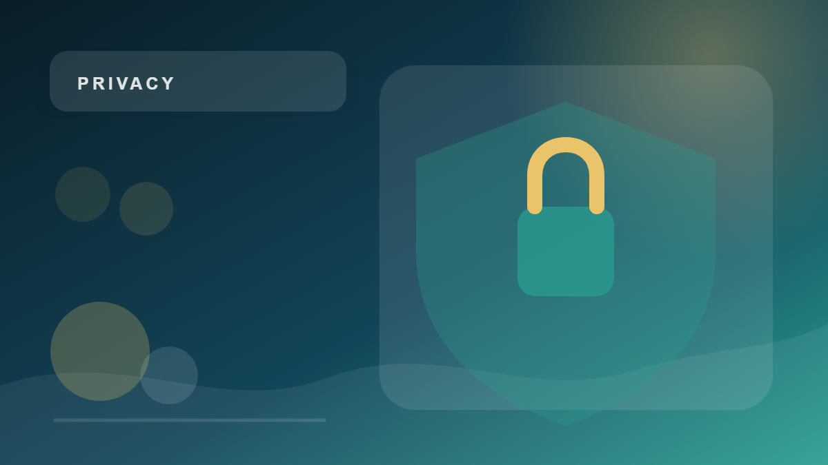 Privacy & Product Literacy