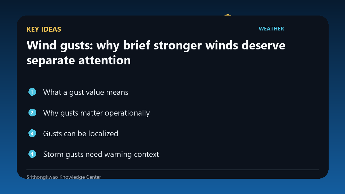 Key ideas from Wind gusts: why brief stronger winds deserve separate attention